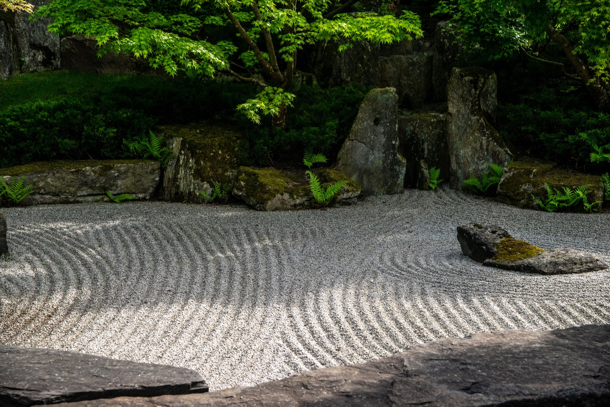 Japanese Zen garden with raked sand and green foliage